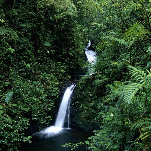 Waterval en groene vegetatie in Monteverde